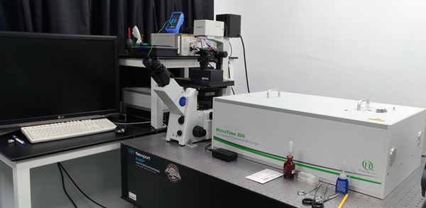 Time-Resolved Confocal Fluorescence Microscopy, Micro Time 200 (PicoQuant)