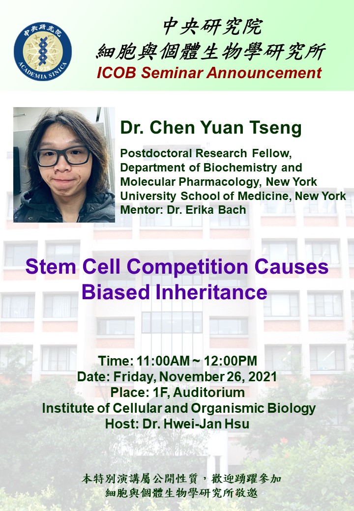 Stem Cell Competition Causes Biased Inheritance Poster