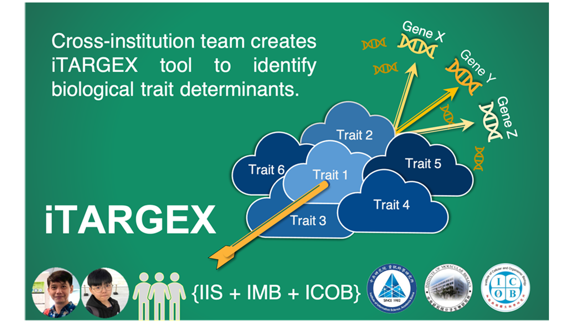 iTARGEX