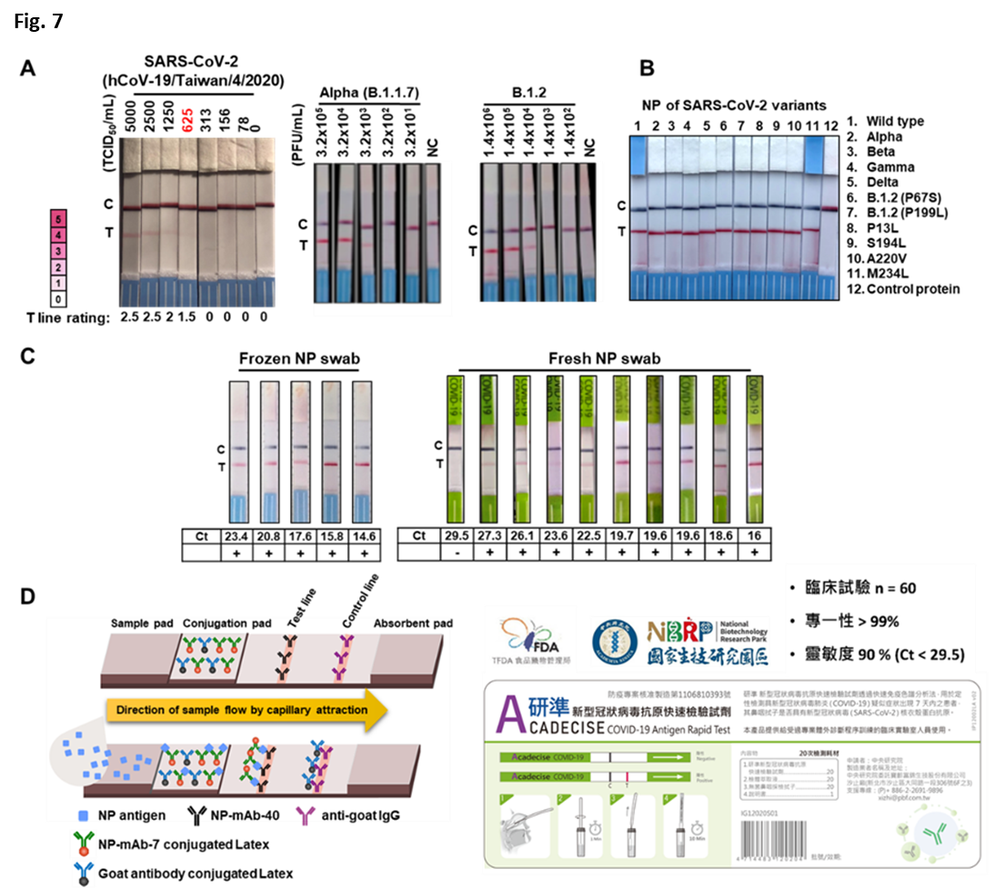 Acadecise COVID-19 antigen rapid test