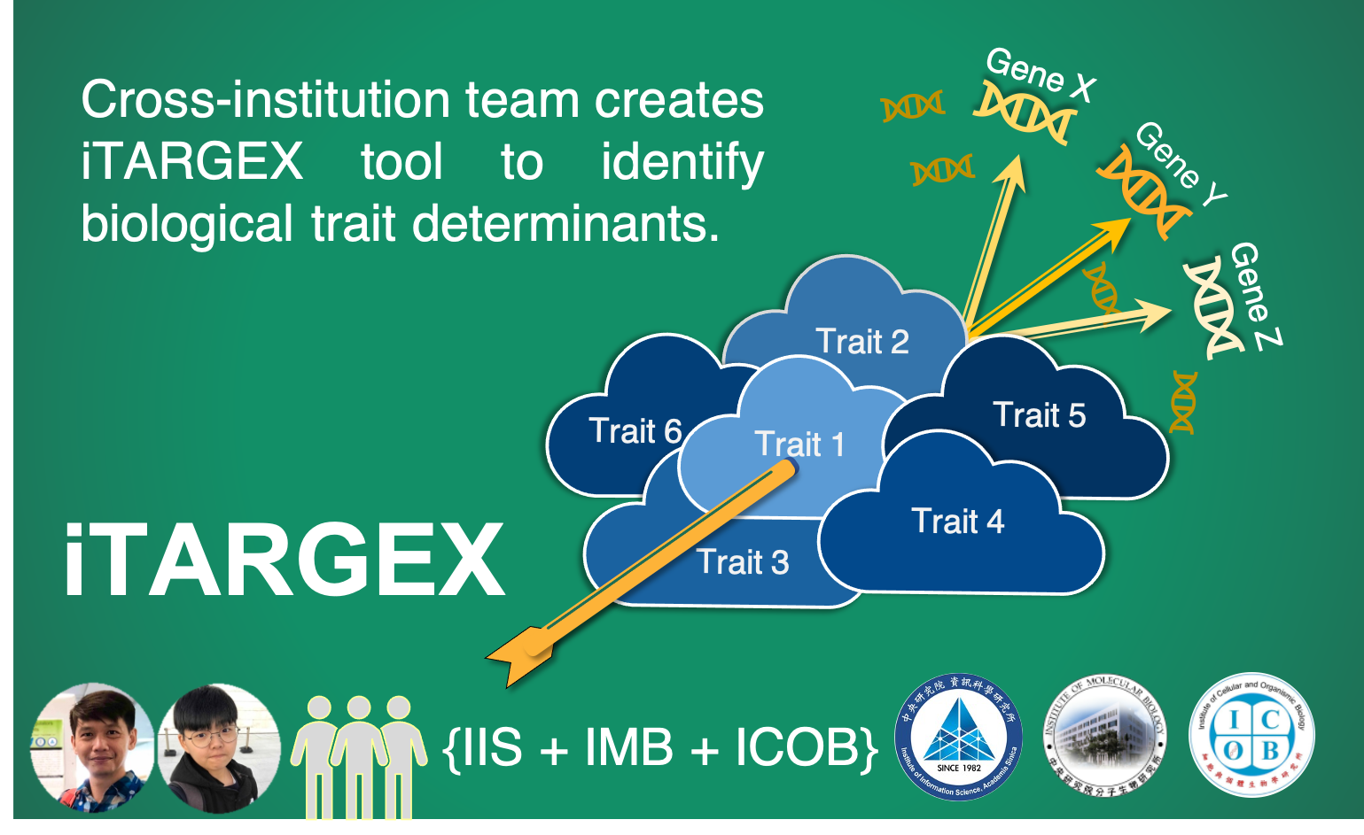 Cross-institution team creates iTARGEX tool to identify biological trait de