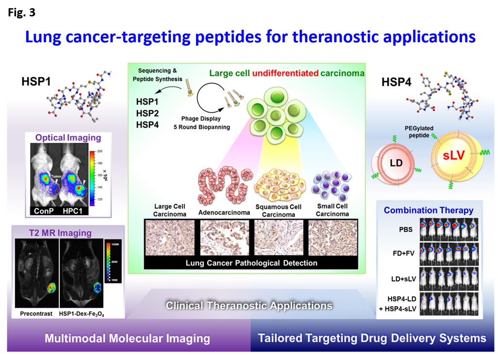 Lung cancer-trageting peptides for theranostic applications