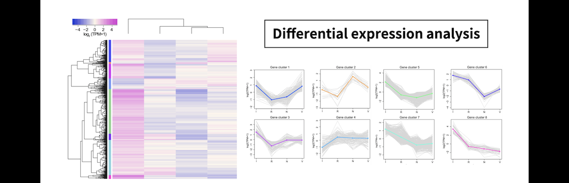 Differential expression analysis