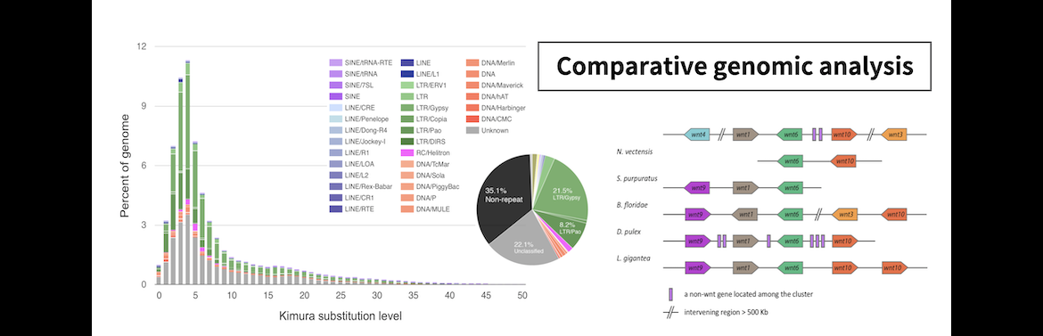 Comparative genomic analysis