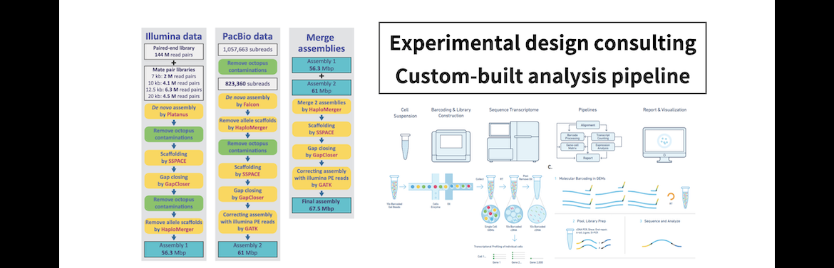 Experimental design consulting Custom-built analysis pipeline