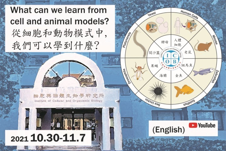 What Can We Learn from Cell and Animal Models?